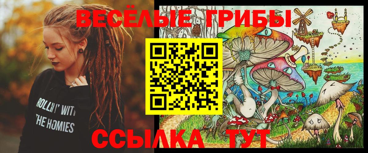 Codein Димитровград