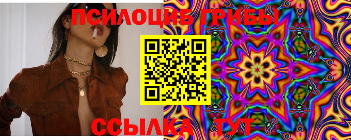 Димитровград  Галлюциногенные грибы ЛСД  Вход с VPN 